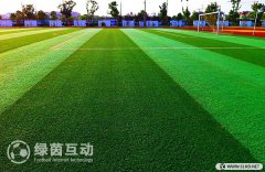 綠茵互動(dòng)響應(yīng)足改方案：擴(kuò)大足球場(chǎng)地?cái)?shù)量 建設(shè)